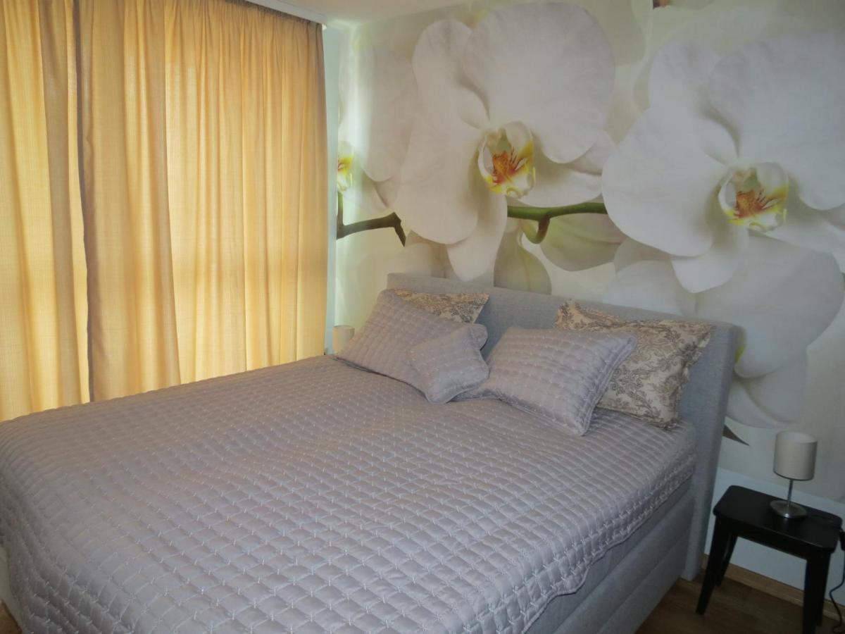 б501. Apartemen Sofia